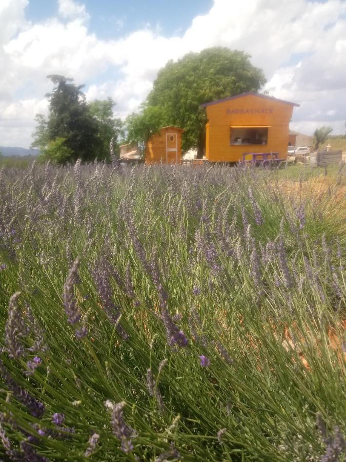 Chambre A La Ferme Au Milieu Des Lavandes 발랑솔 외부 사진